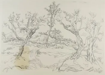 André Jordan dessin Oliviers à Cazeneuve (Vaucluse) 1943 1943.19.32 Photo RMN-Grand Palais (Mucem)