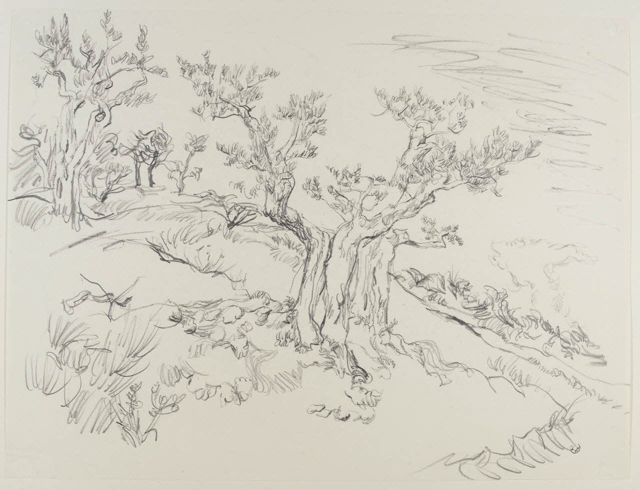 André Jordan dessin Oliviers à Cazeneuve (Vaucluse) 1943 1943.19.35 Photo RMN-Grand Palais (Mucem)