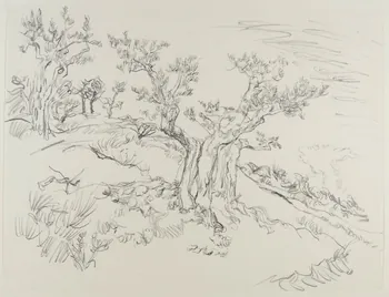André Jordan dessin Oliviers à Cazeneuve (Vaucluse) 1943 1943.19.35 Photo RMN-Grand Palais (Mucem)
