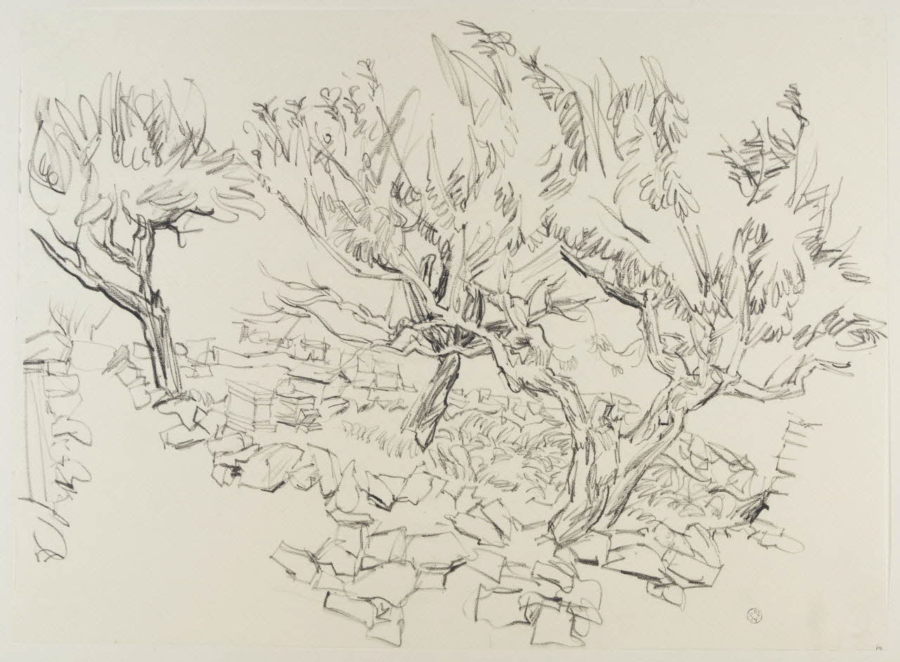 André Jordan dessin Amandiers à Eygalières (Bouches-du-Rhône) 1943 1943.19.45 Photo RMN-Grand Palais (Mucem)