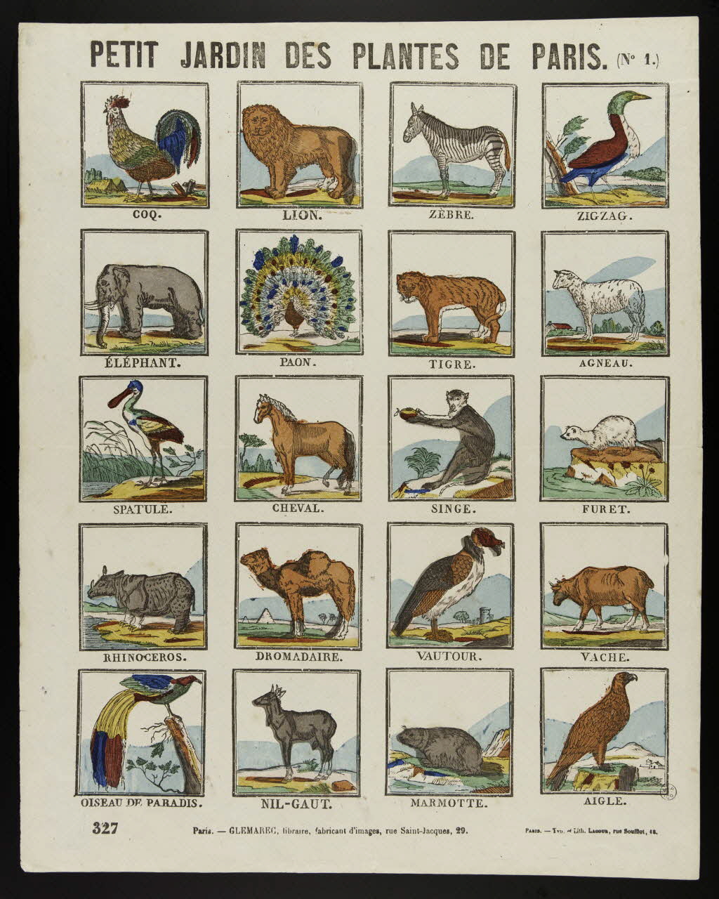 François Lacour ; Charles-Eugène Glémarec à compartiments (4x5) PETIT JARDIN DES PLANTES DE PARIS. (N°1.) Paris 1858-1860 1953.86.4157 Photo