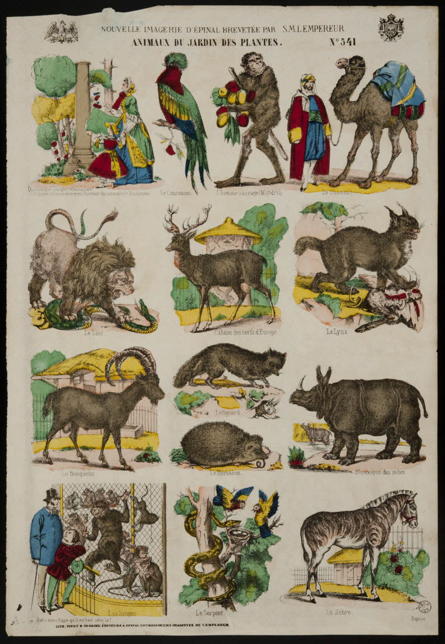 estampe ANIMAUX DU JARDIN DES PLANTES. 1953.86.4162 Photo