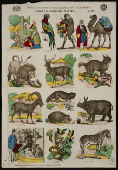 estampe ANIMAUX DU JARDIN DES PLANTES. 1953.86.4162 Photo