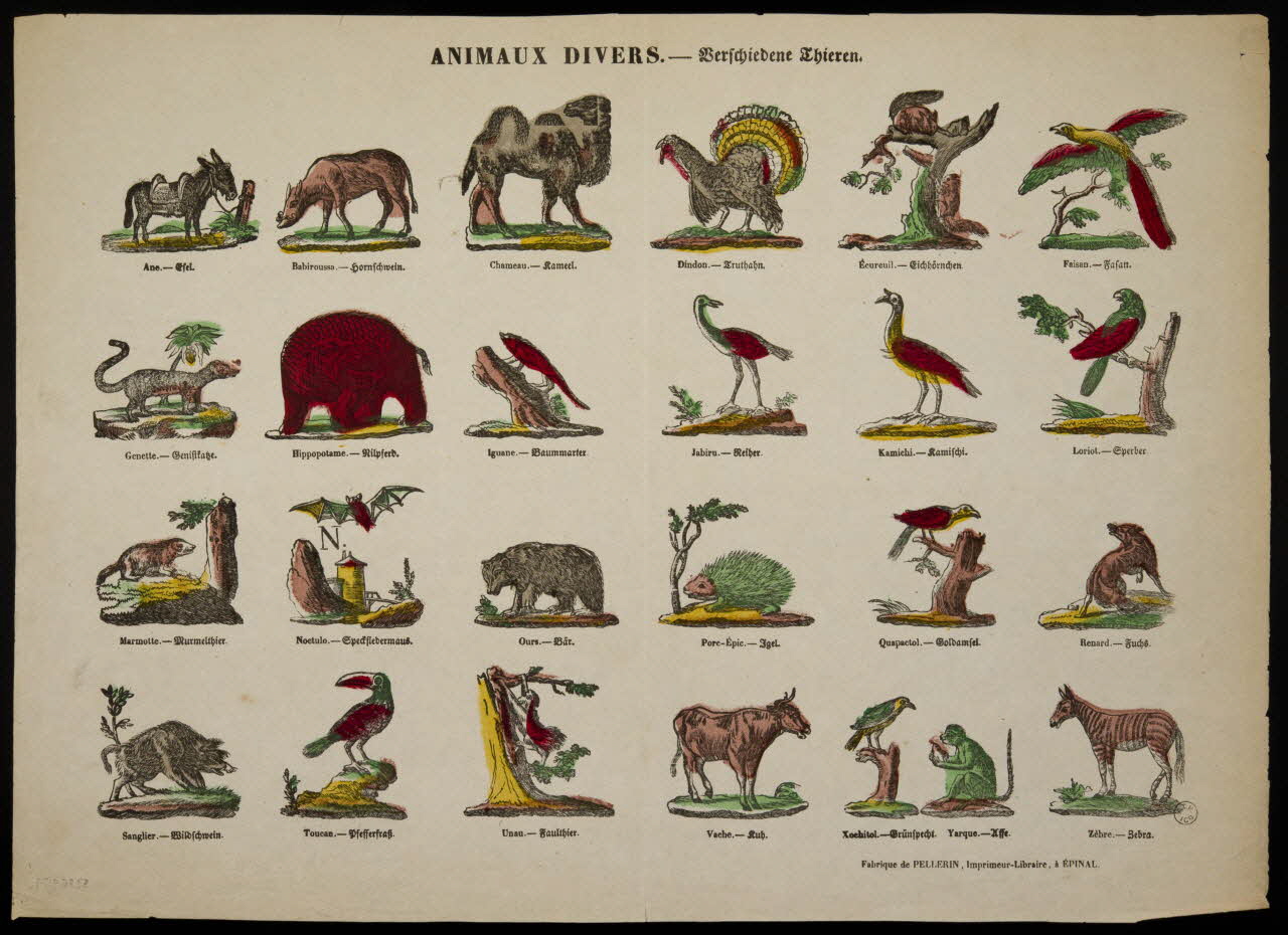 estampe ANIMAUX DIVERS. 1953.86.4174 Photo