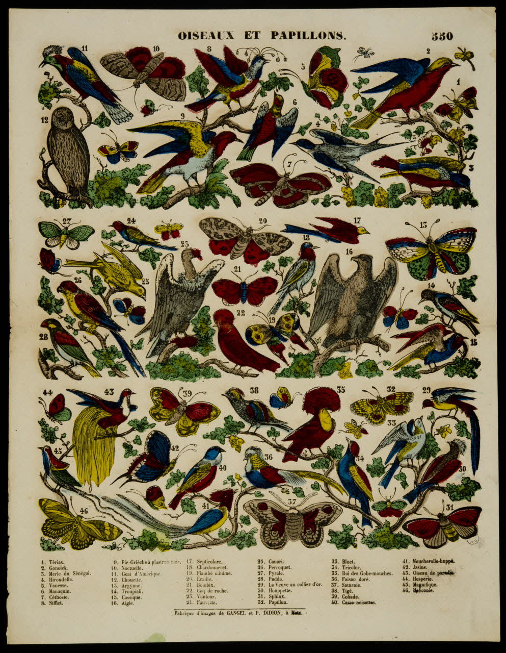 estampe OISEAUX ET PAPILLONS. 1953.86.4205 Photo