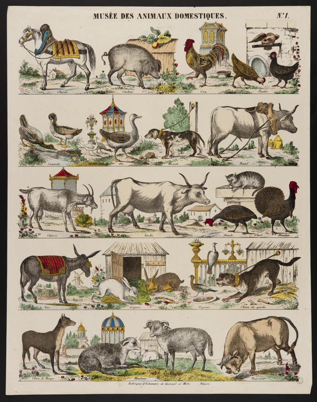 estampe MUSEE DES ANIMAUX DOMESTIQUES. 1953.86.4207 Photo