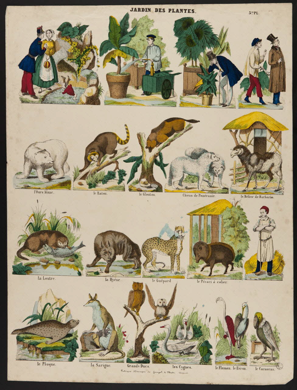 Charles Nicolas Gangel estampe JARDIN DES PLANTES. Metz 1852-1858 1953.86.4209 Photo