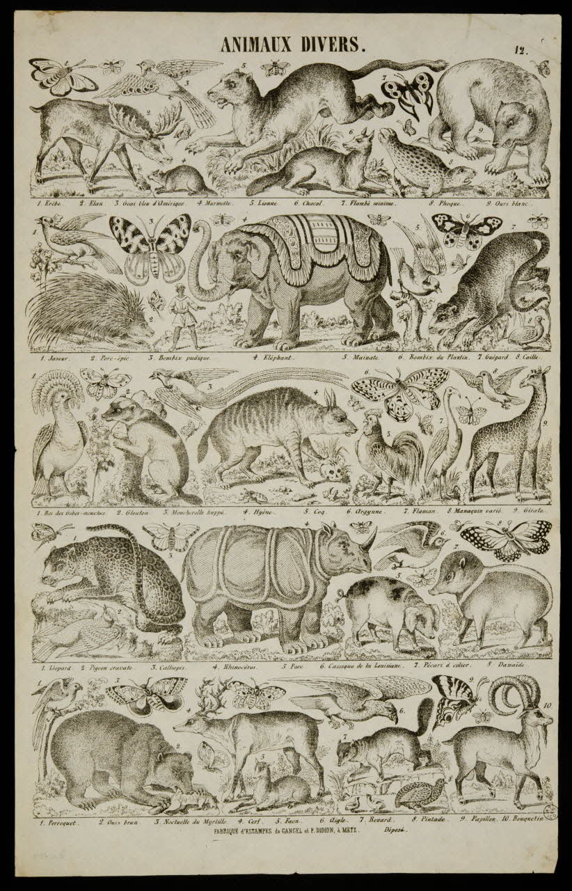 estampe ANIMAUX DIVERS. 1953.86.4212 Photo
