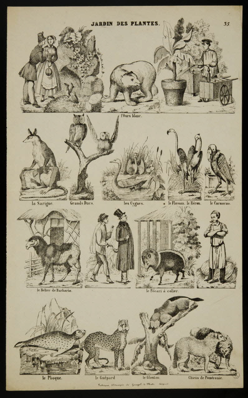 Charles Nicolas Gangel estampe JARDIN DES PLANTES. Metz 1852-1858 1953.86.4213 Photo