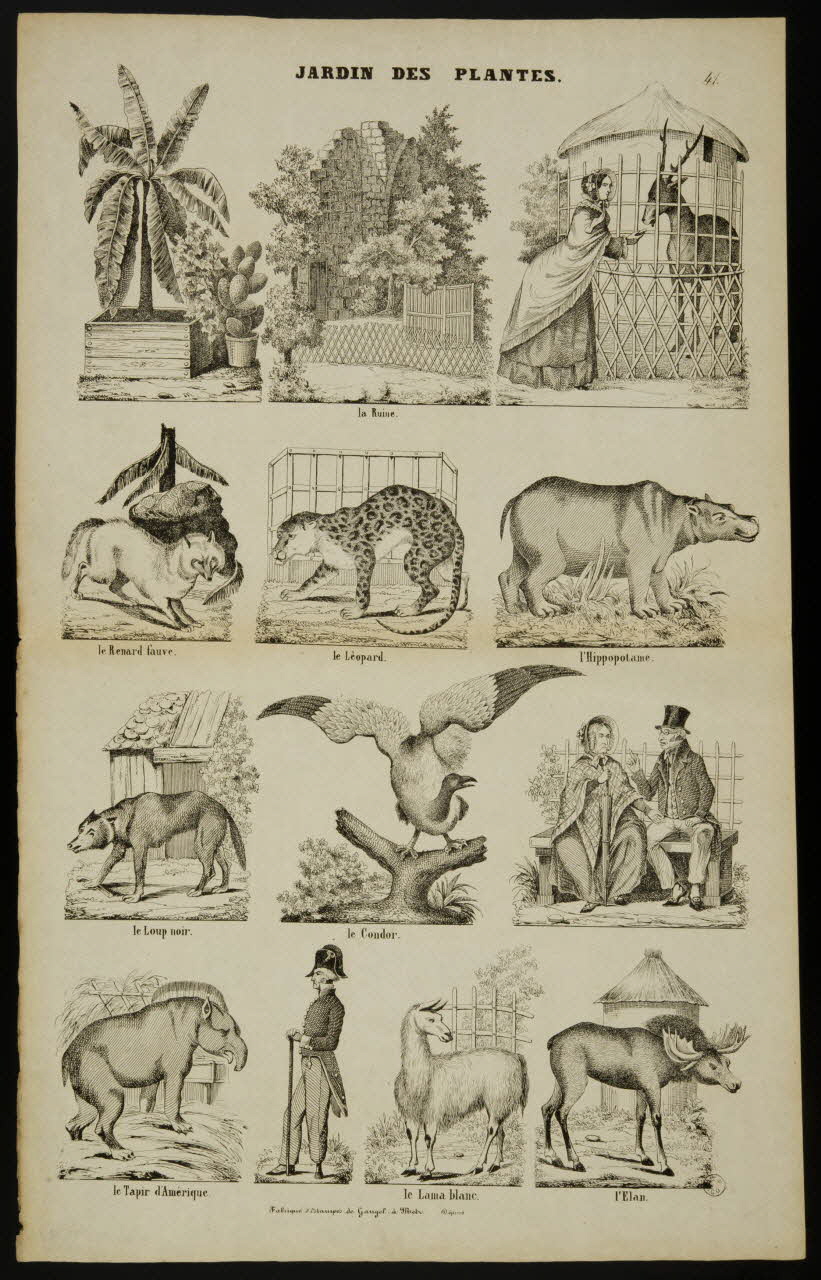 Charles Nicolas Gangel estampe JARDIN DES PLANTES. Metz 1852-1858 1953.86.4214 Photo