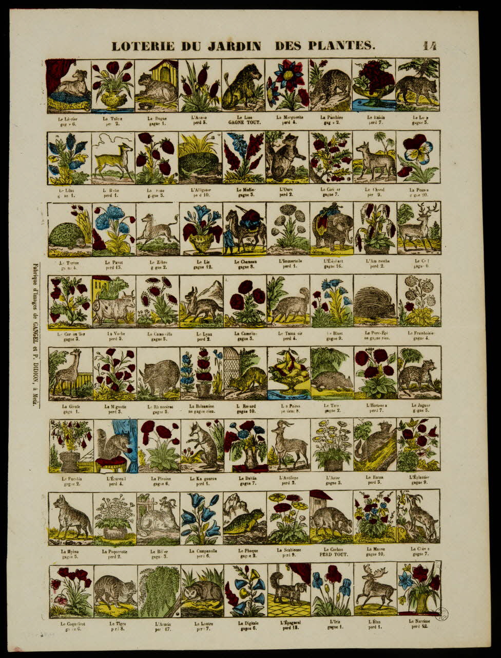 estampe LOTERIE DU JARDIN DES PLANTES. 1953.86.4347 Photo