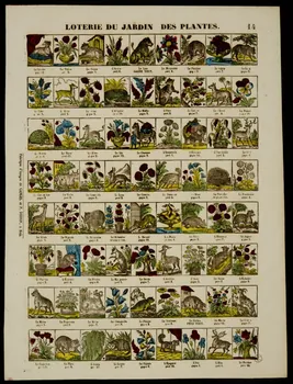 estampe LOTERIE DU JARDIN DES PLANTES. 1953.86.4347 Photo