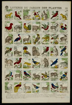 estampe LOTERIE DU JARDIN DES PLANTES. 1953.86.4354 Photo