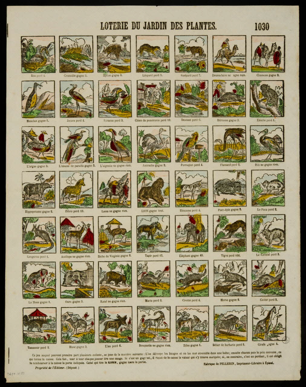 estampe LOTERIE DU JARDIN DES PLANTES. 1953.86.4360 Photo