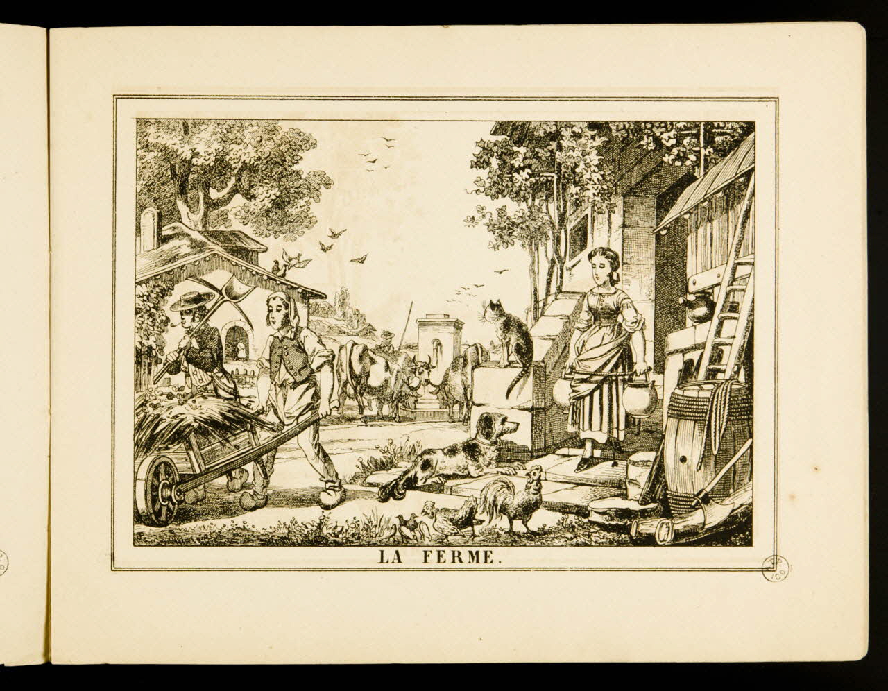 album LA FERME. 1953.86.4584.5 Photo