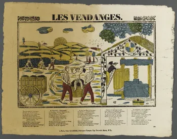 Plet? ; Julienne imagerie ancienne LES VENDANGES. Paris 1830-1835 1995.14.74 Photo RMN-Grand Palais (Mucem)