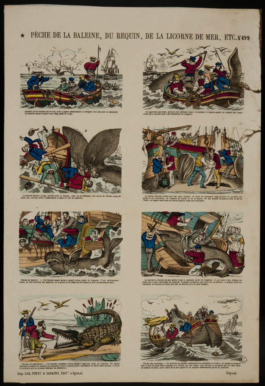 estampe PECHE A LA BALEINE, DU REQUIN, DE LA LICORNE DE MER, ETC. 1953.86.5009 Photo
