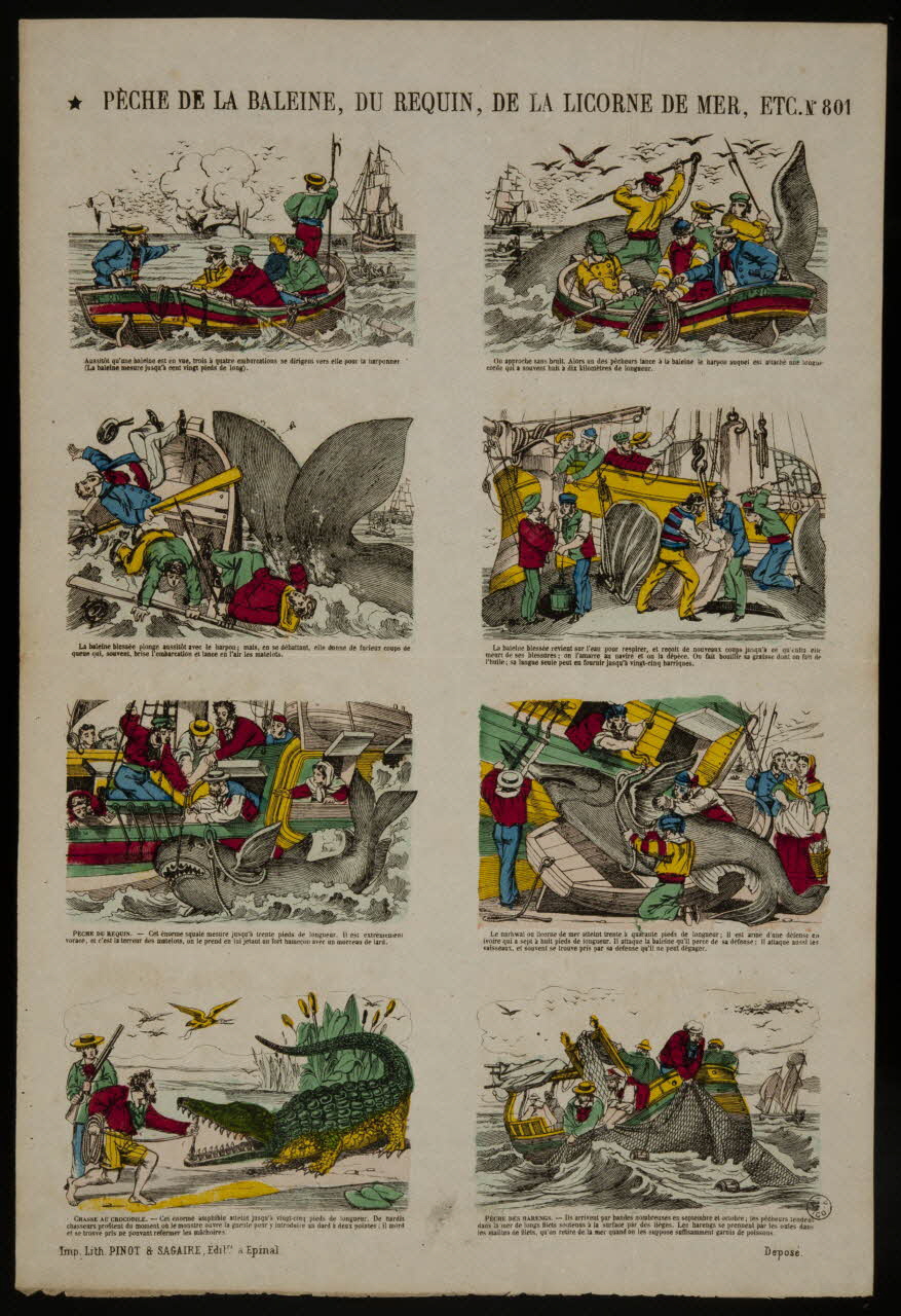 estampe PECHE DE LA BALEINE, DU REQUIN, DE LA LICORNE DE MER, ETC. 1953.86.5010 Photo