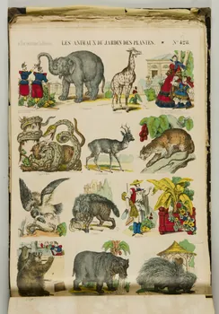 album LES ANIMAUX DU JARDIN DES PLANTES. 1953.86.5571 Photo