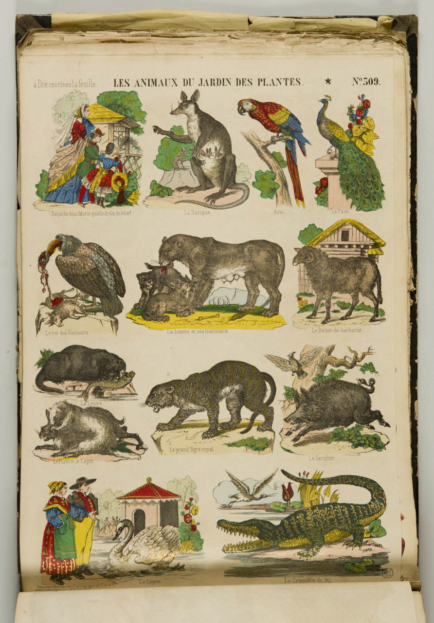 album LES ANIMAUX DU JARDIN DES PLANTES. 1953.86.5572 Photo