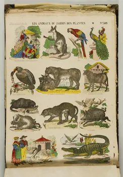 album LES ANIMAUX DU JARDIN DES PLANTES. 1953.86.5572 Photo