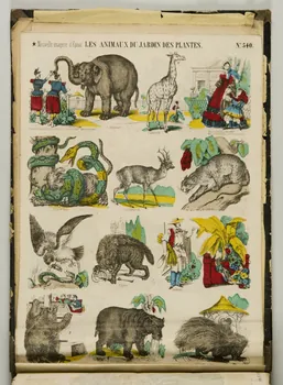 album LES ANIMAUX DU JARDIN DES PLANTES. 1953.86.5873 Photo