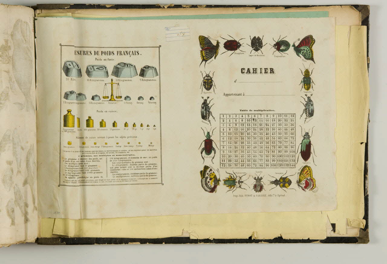 album Couverture de cahier avec insectes et mesures de poids. 1953.86.5883  Photo