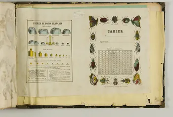 album Couverture de cahier avec insectes et mesures de poids. 1953.86.5883 Photo