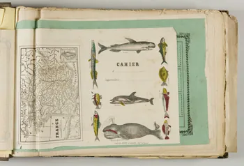 album Couverture de cahier avec animaux marins et carte de France. 1953.86.5885 Photo
