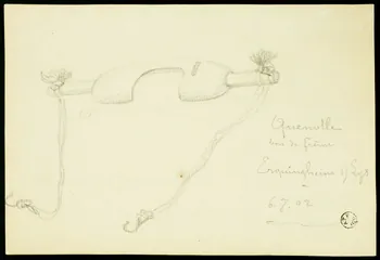 Costard A. dessin Quenolle  bois de Frêne Armentières 1902 1955.155.3 Photo