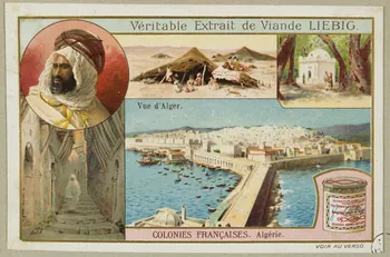estampe COLONIES FRANCAISES. Algérie. 1955.4.123  Photo