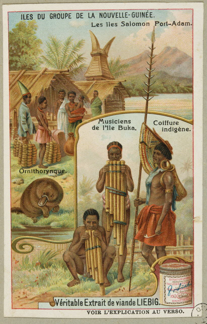 estampe ILES DU GROUPE DE LA NOUVELLE-GUINEE.  Les îles Salomon Port-Adam. 1955.4.129 Photo