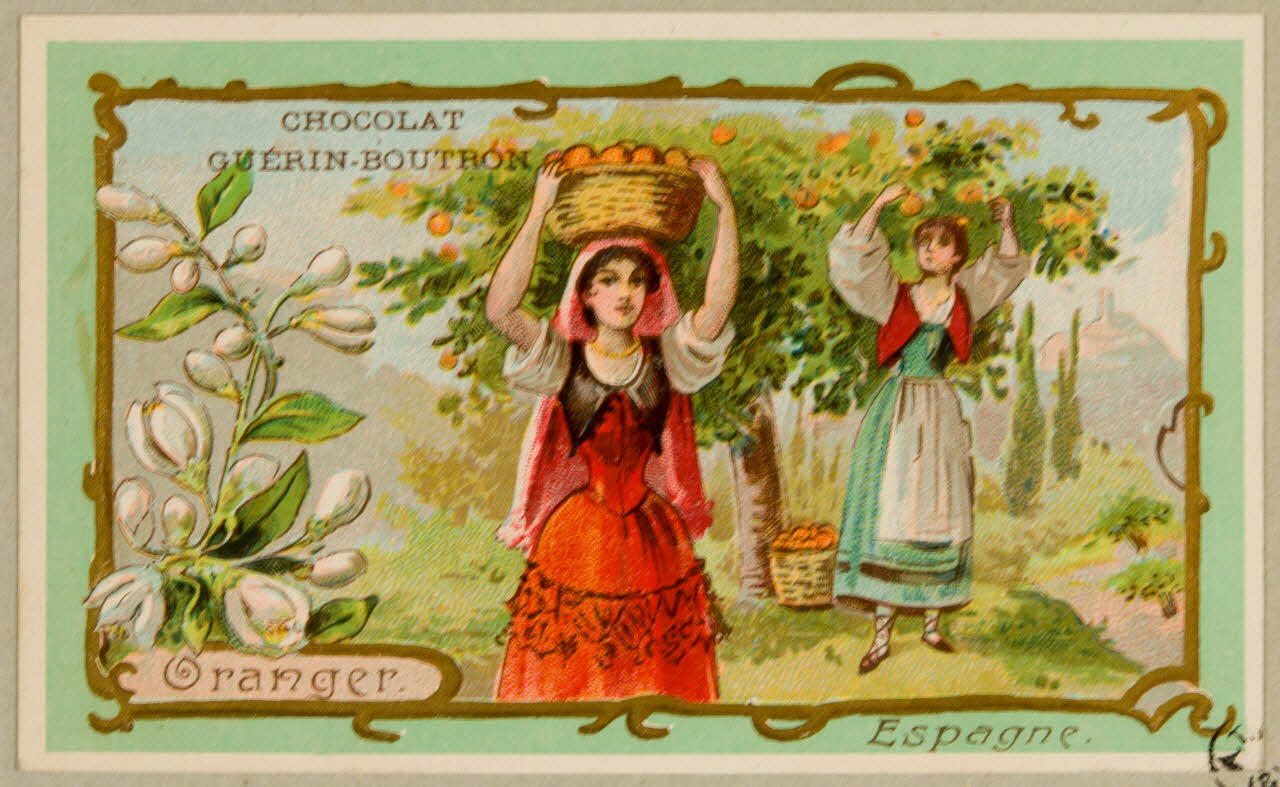 carte réclame chromo 1955.4.19 Photo