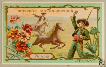 carte réclame chromo 1955.4.23 Photo
