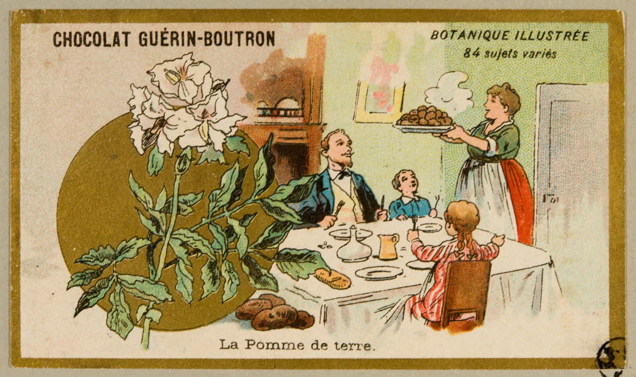 carte réclame chromo 1955.4.26 Photo