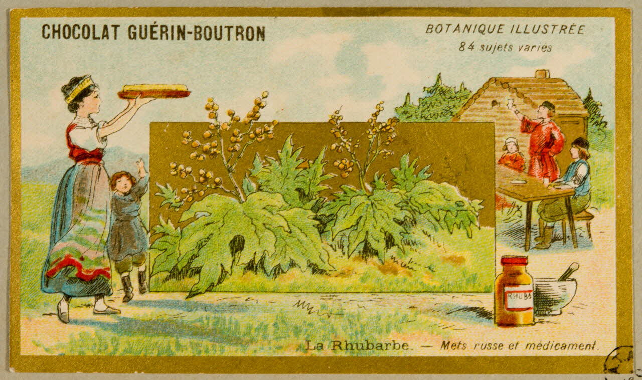 estampe La Rhubarbe. 1955.4.30 Photo
