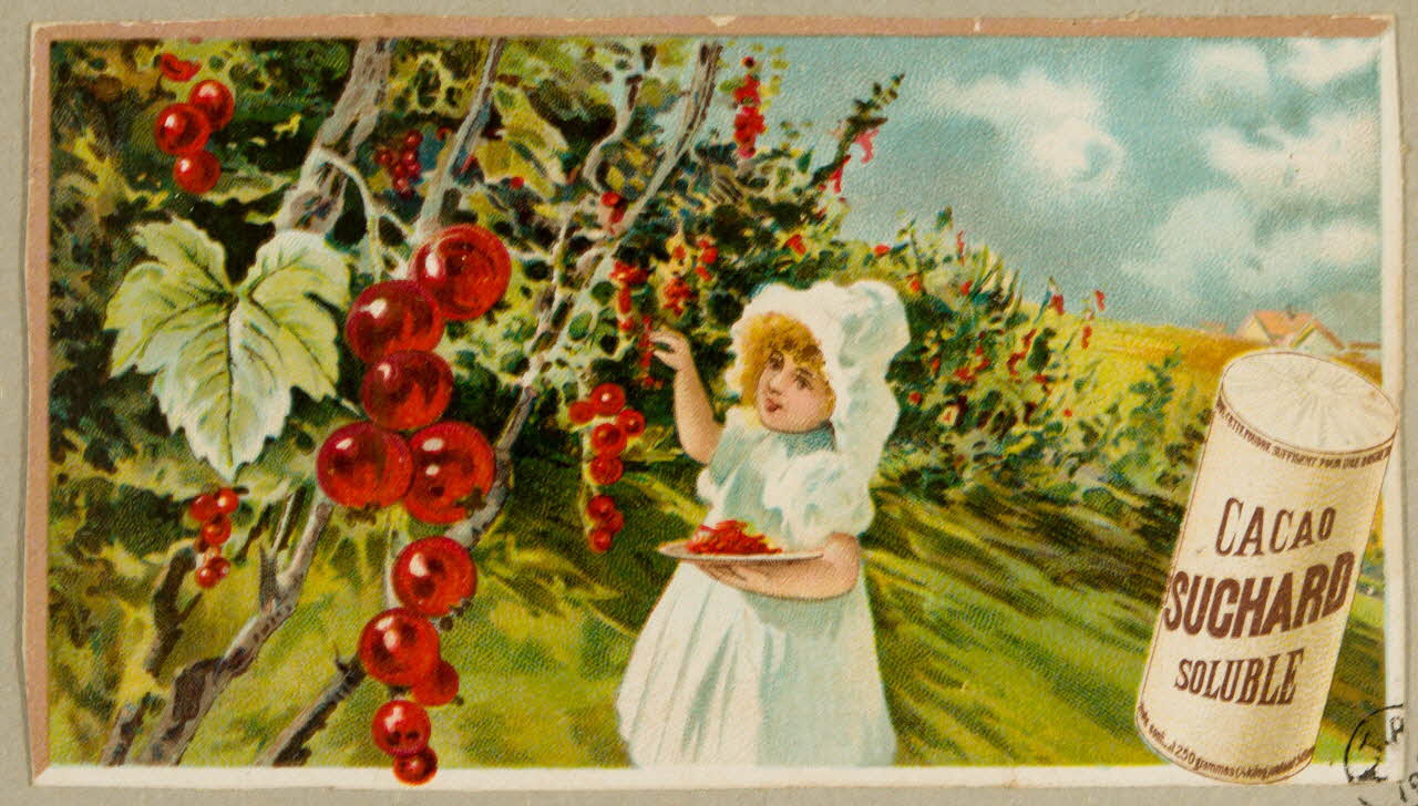 carte réclame chromo 1955.4.35 Photo