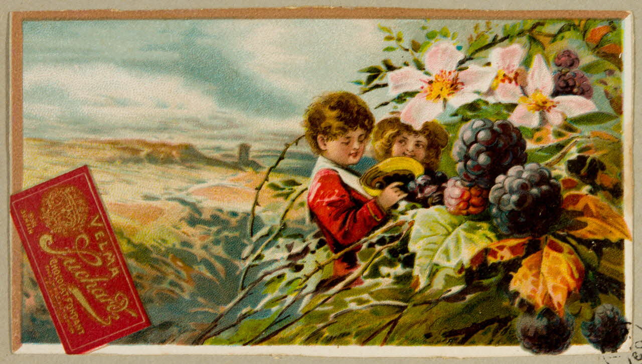 carte réclame chromo 1955.4.36 Photo