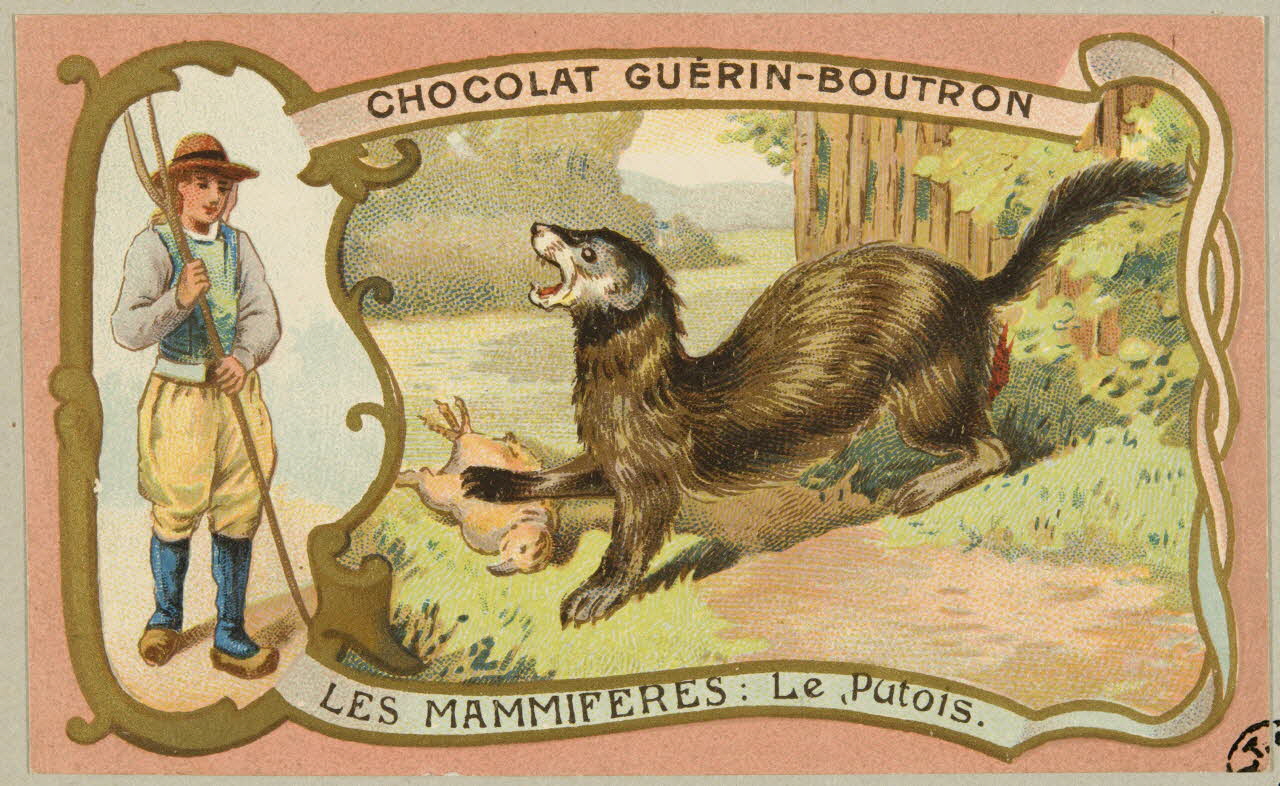 carte réclame chromo 1955.4.389 Photo