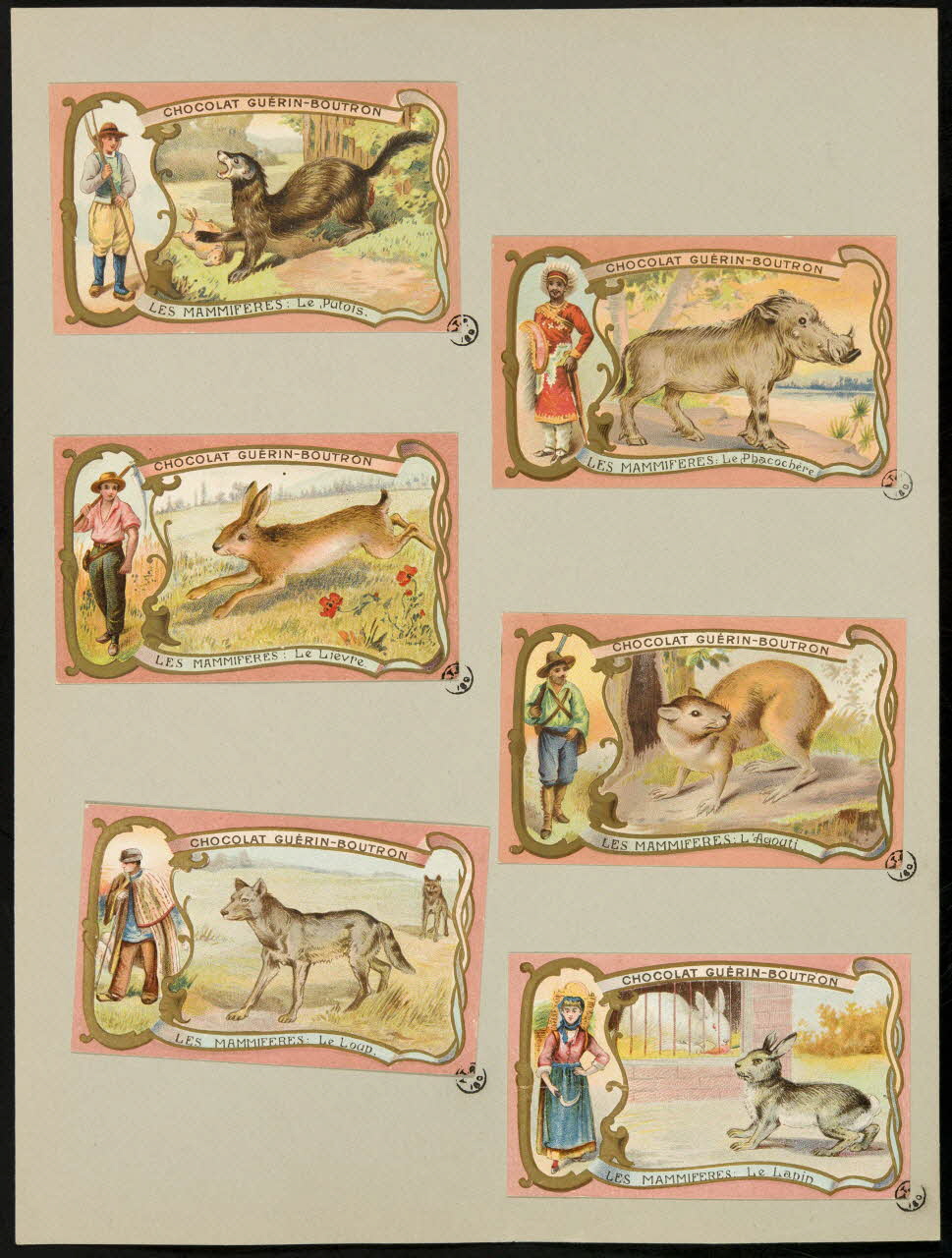carte réclame chromo 1955.4.390 Photo