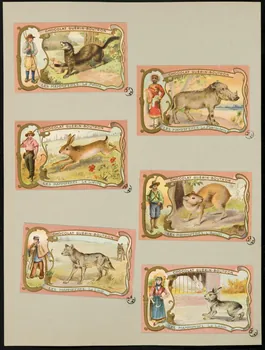 carte réclame chromo 1955.4.392 Photo