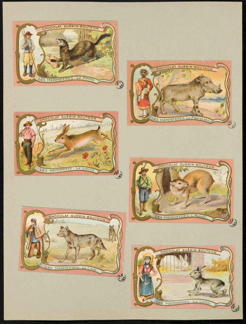 carte réclame chromo 1955.4.393 Photo