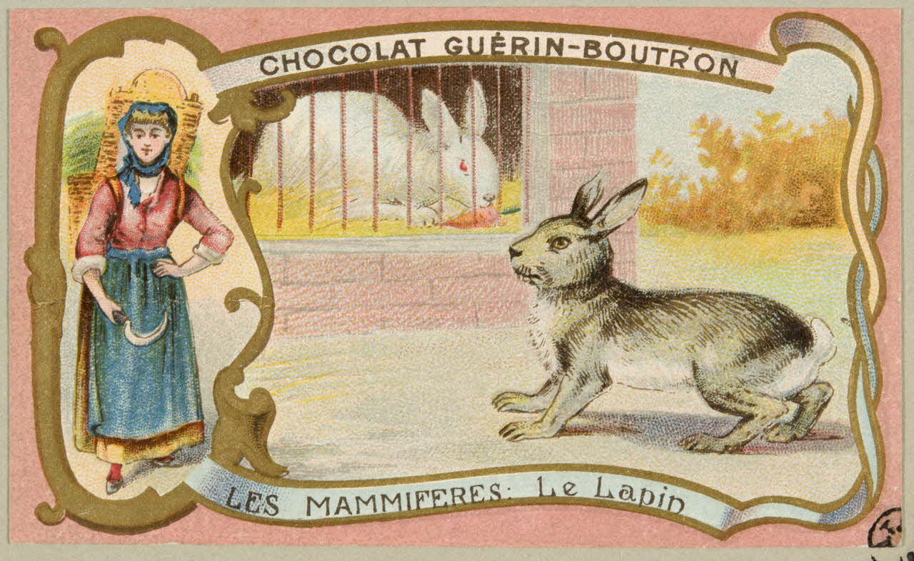 carte réclame chromo 1955.4.394 Photo