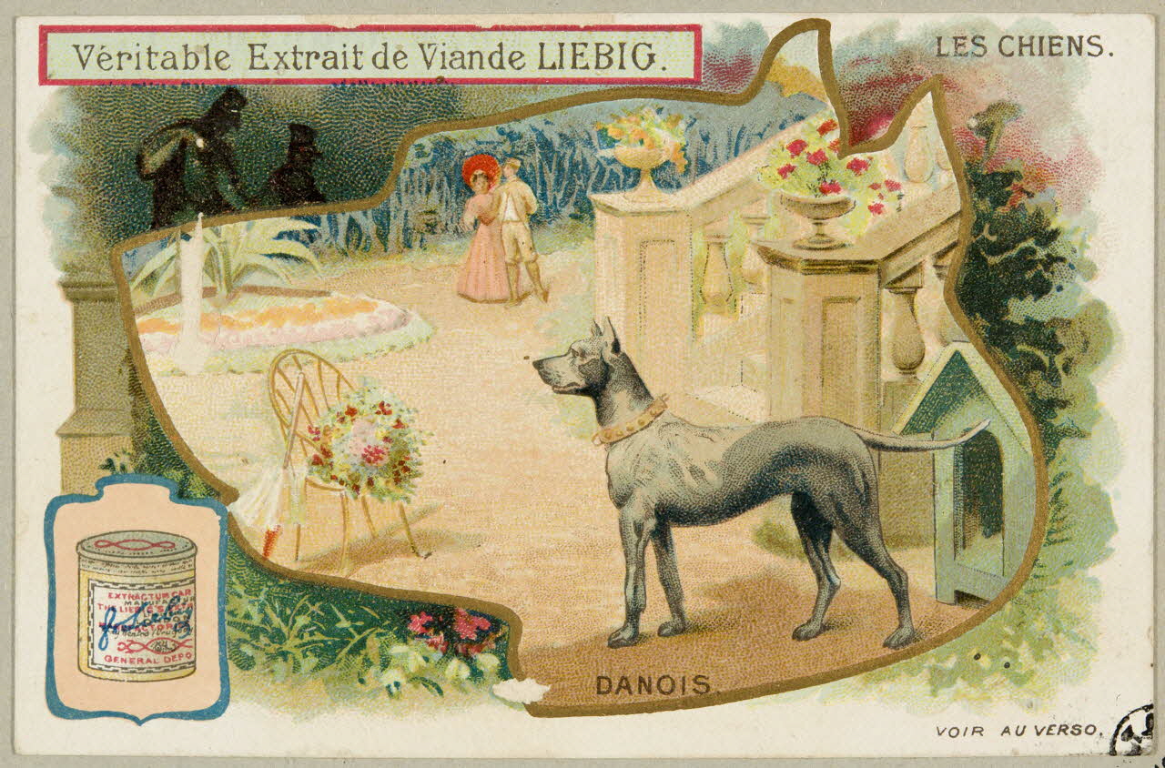 carte réclame chromo 1955.4.396 Photo