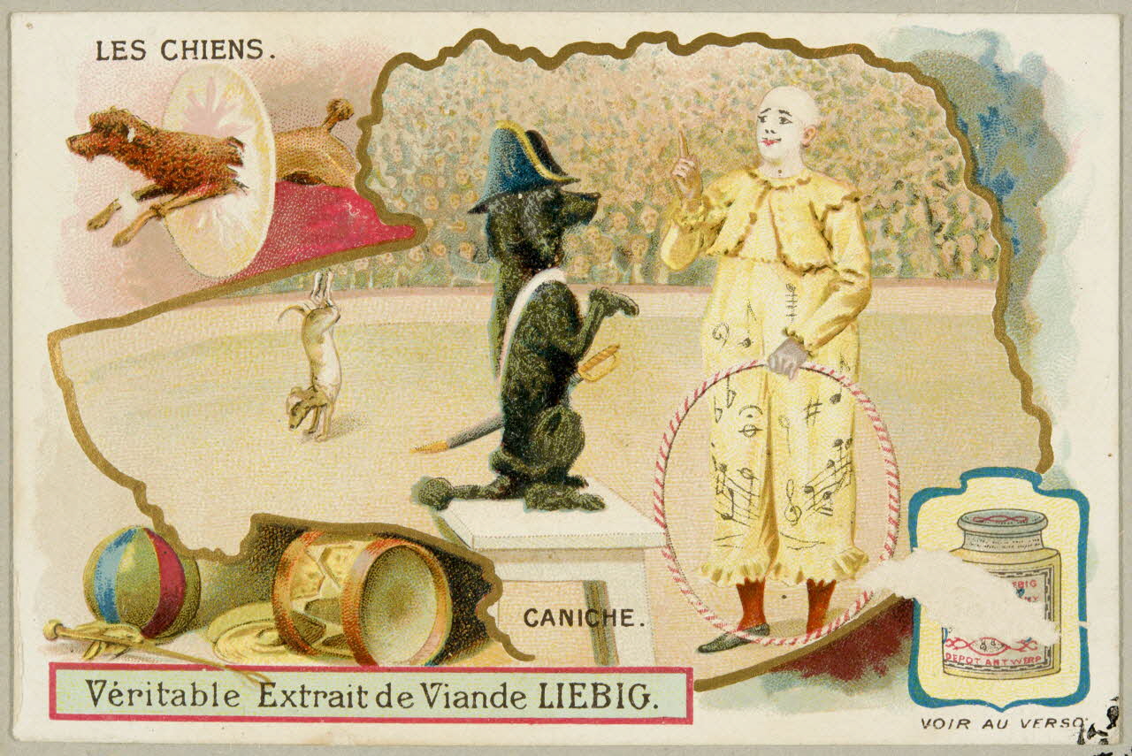 carte réclame chromo 1955.4.397 Photo