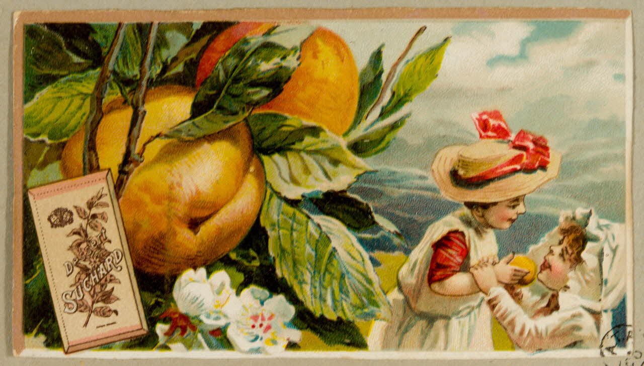 carte réclame chromo 1955.4.40 Photo