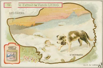 carte réclame chromo 1955.4.400  Photo