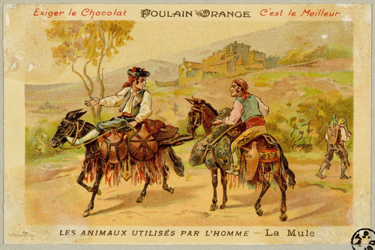 carte réclame chromo 1955.4.415 Photo