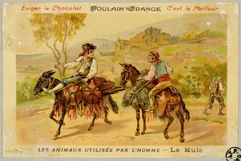 carte réclame chromo 1955.4.415 Photo