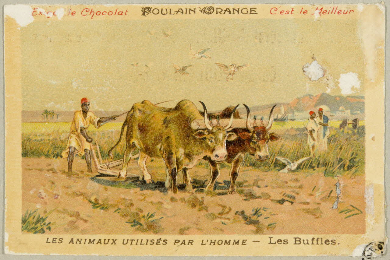 carte réclame chromo 1955.4.418 Photo